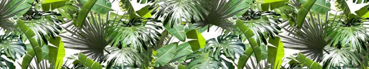 Art. 9978 Risovannye Raznoe 1200x225