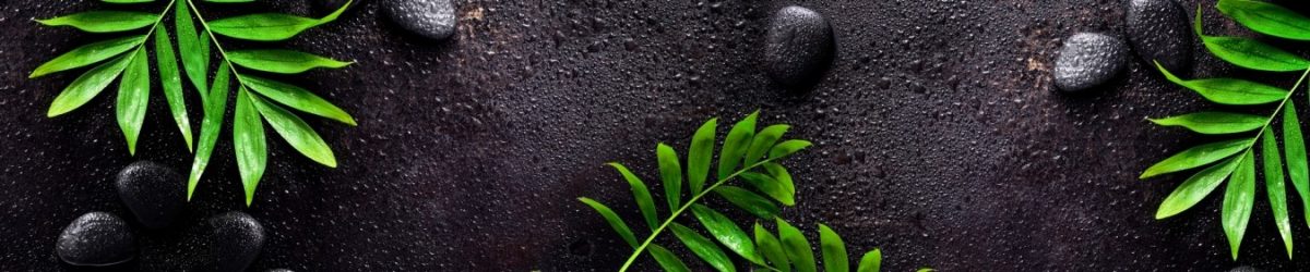 Art. 9995 Risovannye Raznoe 1200x250