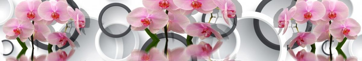 Art. 10225 3d 1200x205